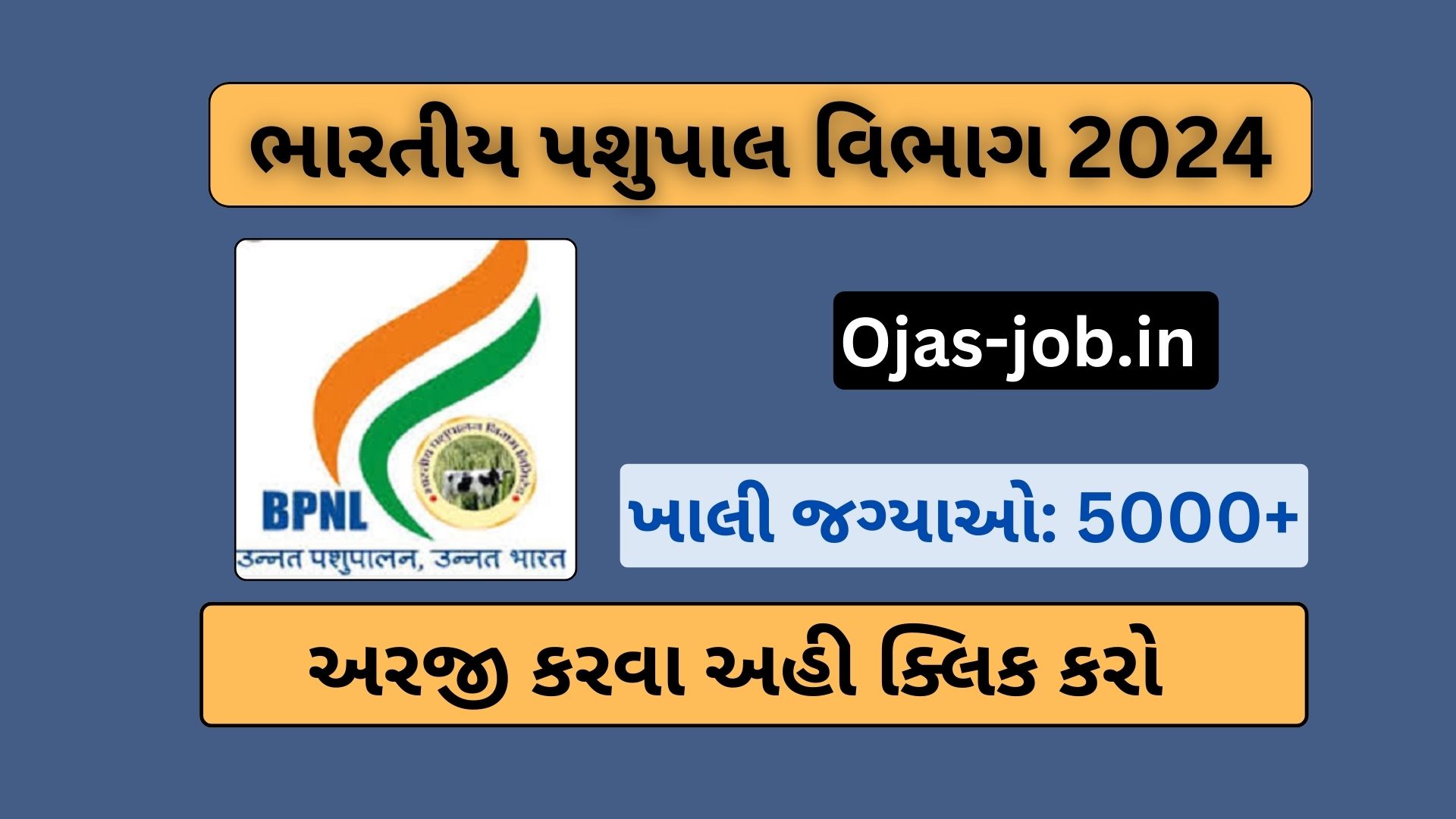 Gujarat Forest Guard Call Letter 2024 OJAS JOB
