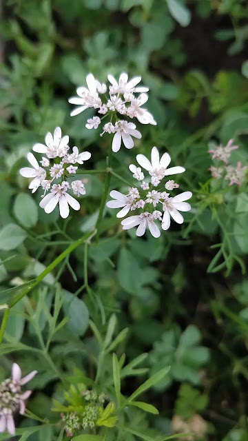 How to stay young even at 90 years old!